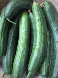 japan cucumber 1kg ໝາກແຕງຍີ່ປຸ່ນ