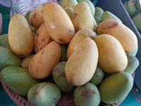 kathi Mango 1kg ໝາກມ່ວງກະທິ