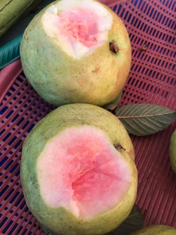 red guava 1kg ໝາກສີດາໃຈແດງ