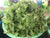 Green Amaranth cut root 500g ຜັກຫົມຂຽວຕັດຮາກ