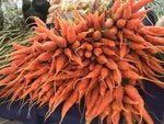 carrot 1kg ຫົວກະລົດ
