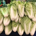 Chinese Cabbage 1kg ຜັກາດຂາວຫໍ່