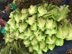 Chinese lettuce 200g ສະຫຼັດກອບຈີນ