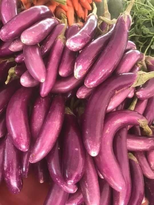 long eggplant 700g ໝາກເຂືອຫໍາມ້າ