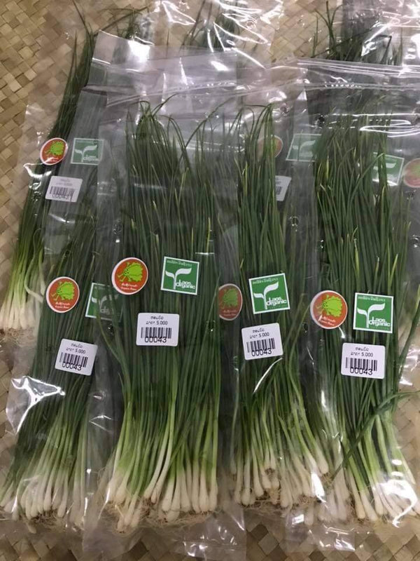 Green onion 500g ຫອມບົ່ວໃບ