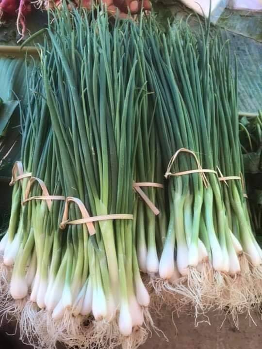 Green onion 1kg ຫອມບົ່ວໃບ