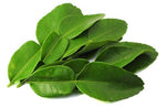 Kaffir lime leaves 100g ໃບຂີ້ຫູດ