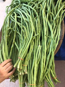 long bean 1kg ໝາກຖົ່ວຢາວ