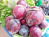 Red Cabbage 1kg ກະຫຼໍ່າປີມ່ວງ