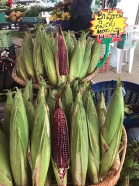 Red sweet corn 1kg ສາລີຫວານກິນດິບ1ກິໂລ
