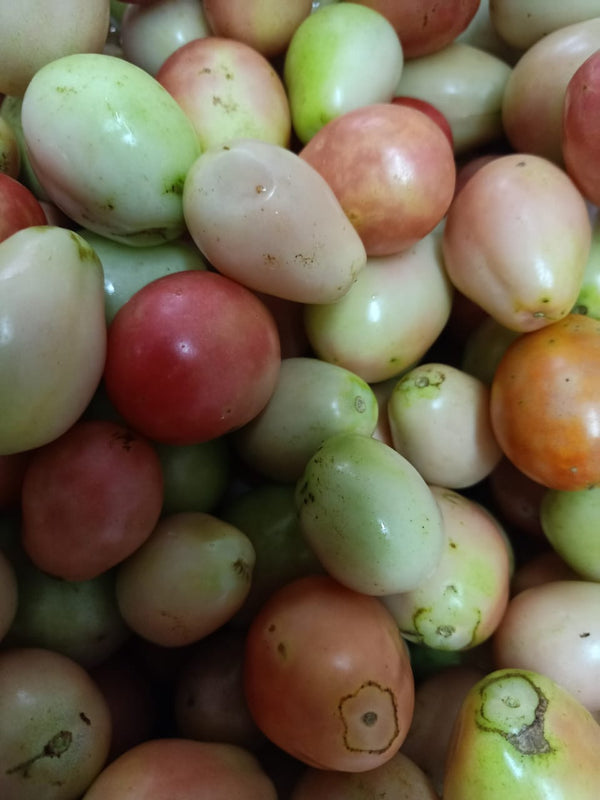 seeda tomatoes 500g ໝາກເລັ່ນສີດາ