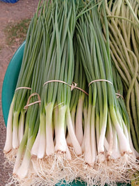 Lery Green onion bundle ຫອມບົ່ວເລີຍ 1 ມັດ