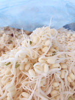 bean sprout 1kg ຖົ່ວງອກ