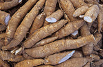 Cassava 1kg ມັນຕົ້ນ