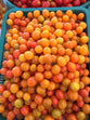 Yellow cherry tomatoes 200g ໝາກເລັ່ນເຊີລີເຫຼືອງ