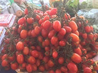 lasanee tomatoes 1 pack ໝາກເລັ່ນລາຊະນີ