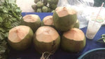 Coconut 1 Piece ໝາກພ້າວຫອມ1ໜ່ວຍ
