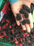 mulberry 1 kg