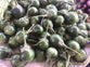 Green Eggplant  300g ໝາກເຂືອຂຽວ