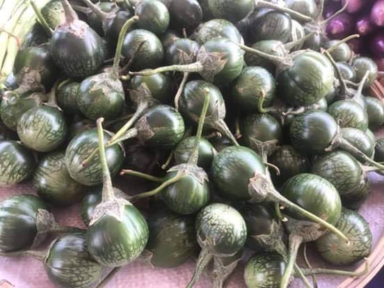 Green Eggplant  500g ໝາກເຂືອຂຽວ