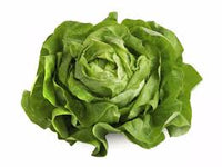 Rose lettuce 500g ສະຫຼັດດອກກຸຫຼາບ