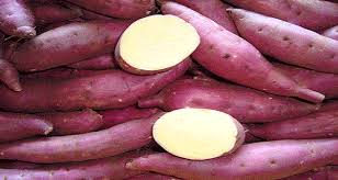 Japan sweet potatoes Small 1kg ມັນຫວານຍີ່ປູ່ນຫົວນ້ອຍ