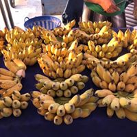 water banana bundle ກ້ວຍນໍ້າ1ຫວີ