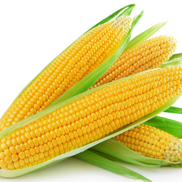 yellow Corn 1kg ສາລີເຫຼືອງ